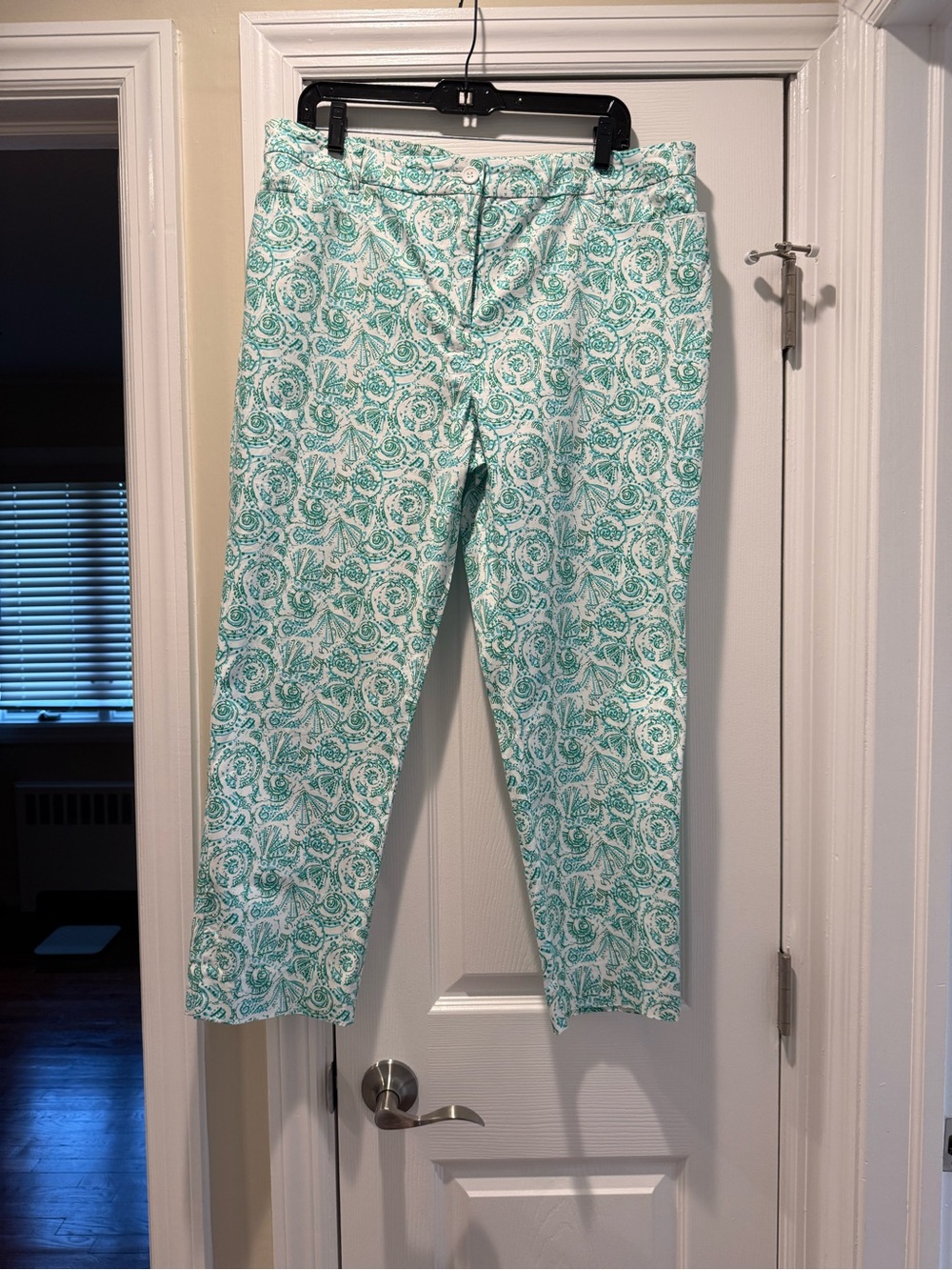 Talbots White/Teal Printed Pant